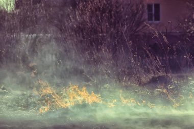 tarlada yangın / kuru ot yangın, yanan saman, eleman, doğa manzara, rüzgar