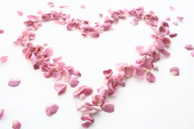 kalp gül yaprakları / pembe güller, kalp şeklinde çerçeve yaprakları, aşk konsepti