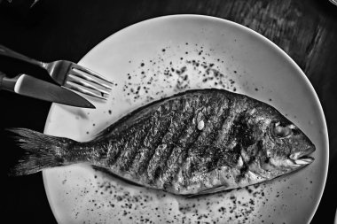 bir restoranda dorado ızgara / balık bir restoranda kızarmış, kömür üzerinde güzel bir deniz ürünleri ızgara