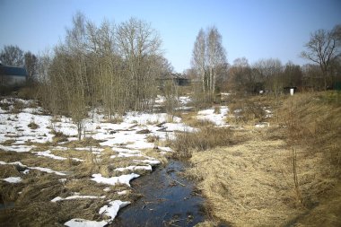 ormanda erken ilkbahar / yapraksız ağaçlar, kar erir, ilkbaharda gri üzgün orman parkı