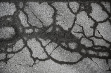 asfalt yolda çatlaklar doku / soyut arka plan çatlakları asfalt asfalt