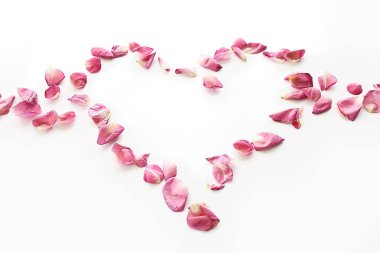 kalp gül yaprakları / pembe güller, kalp şeklinde çerçeve yaprakları, aşk konsepti