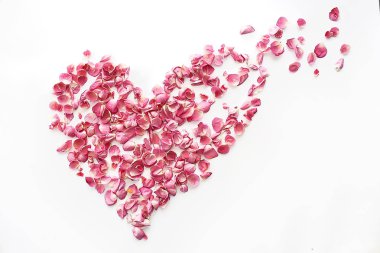 kalp gül yaprakları / pembe güller, kalp şeklinde çerçeve yaprakları, aşk konsepti