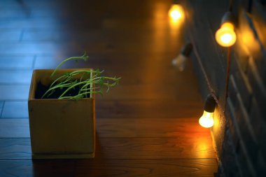 Çaydanlıktaki genç filizler / taze yeşiller, biyoloji, botanik konsepti