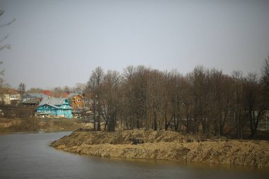 ormanda erken ilkbahar / yapraksız ağaçlar, kar erir, ilkbaharda gri üzgün orman parkı