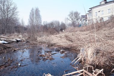 ormanda erken ilkbahar / yapraksız ağaçlar, kar erir, ilkbaharda gri üzgün orman parkı