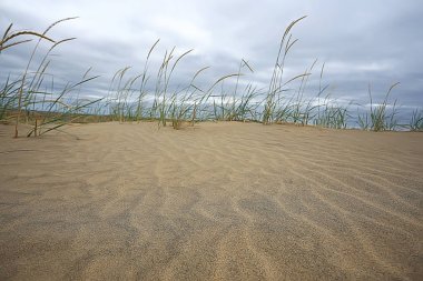 çöl manzara / kum çölü, hiçbir insan, kumul manzara
