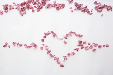 kalp gül yaprakları / pembe güller, kalp şeklinde çerçeve yaprakları, aşk konsepti