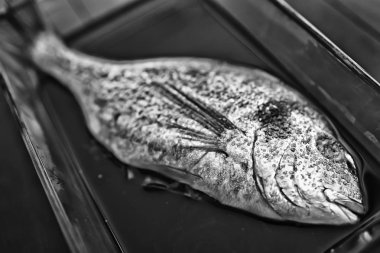 bir restoranda dorado ızgara / balık bir restoranda kızarmış, kömür üzerinde güzel bir deniz ürünleri ızgara