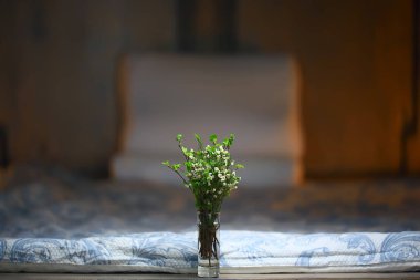 bahar buketi dalları tomurcuk yaprakları / yeşil yaprakları tomurcukları ve çiçekleri ile bir buket küçük taze dalları, bahar