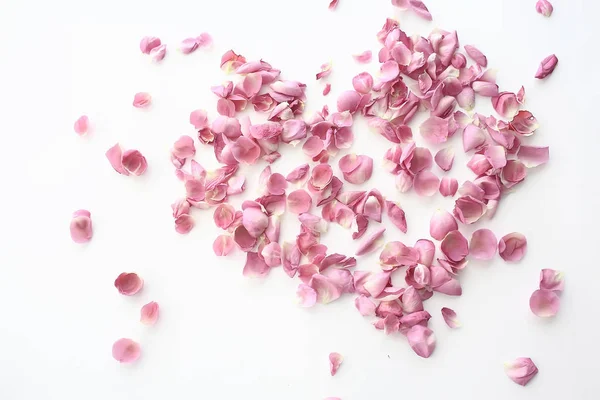 Srdce Růžové Plátky Růžové Růže Srdeční Okvětné Rámy Milostný Koncept — Stock fotografie