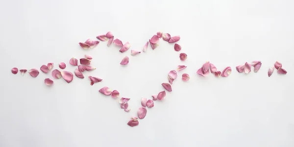 Heart Rose Petals Pink Roses Heart Shaped Frame Petals Love — Stock Photo, Image