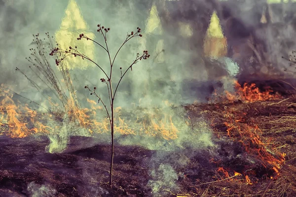 Φωτιά Στο Χωράφι Φωτιά Στο Ξηρό Γρασίδι Κάψιμο Άχυρο Στοιχείο — Φωτογραφία Αρχείου