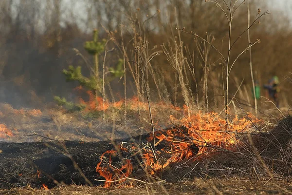 Fuego Campo Fuego Hierba Seca Paja Ardiente Elemento Paisaje Natural —  Fotos de Stock