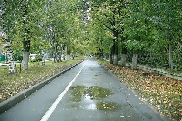 Estate Parco Sfondo Natura Alberi Foglie Verdi Astratto Sfondo Estate — Foto Stock