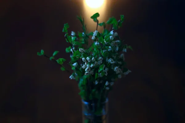 Весенний Букет Ветвей Почки Листья Небольшие Свежие Ветви Букете Зелеными — стоковое фото