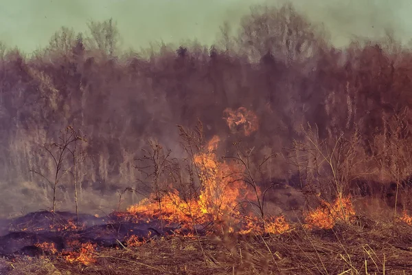 Feu Dans Champ Feu Dans Herbe Sèche Paille Brûlante Élément — Photo