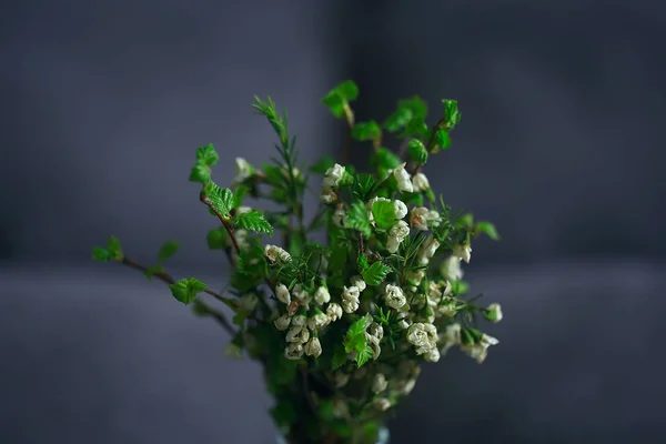 春天花束枝芽叶 小新鲜枝在花束与绿叶芽和花 — 图库照片