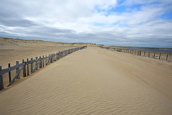 Woestijnvorming Klimaatverandering Concept Opwarming Van Aarde Woestijn Landschap — Stockfoto