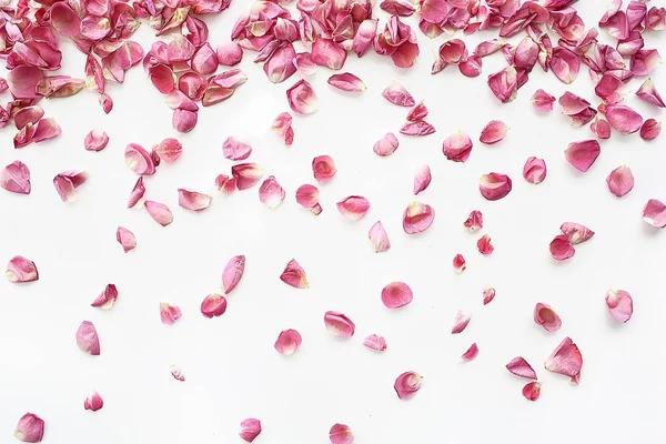 粉红色和红色花瓣背景 抽象香气背景 水疗粉红色花瓣 — 图库照片