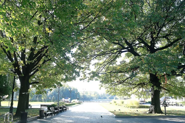 Parc Été Fond Nature Arbres Feuilles Vertes Fond Abstrait Vue — Photo