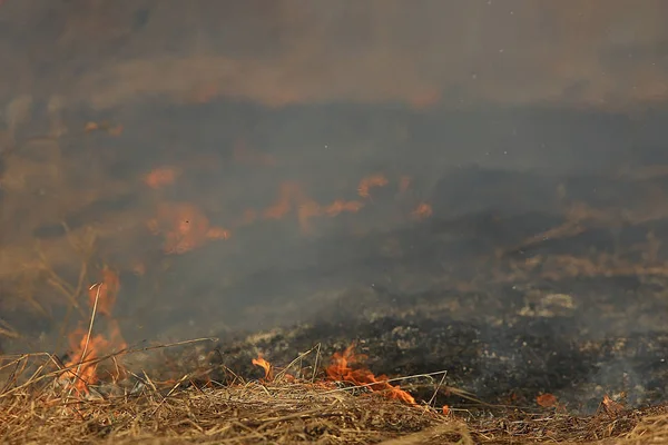 Brand Het Veld Brand Het Droge Gras Brandende Stro Element — Stockfoto