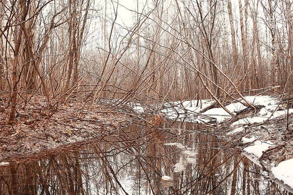 清晨在森林 树木无叶 雪融化 灰色悲伤的森林公园在春天 — 图库照片