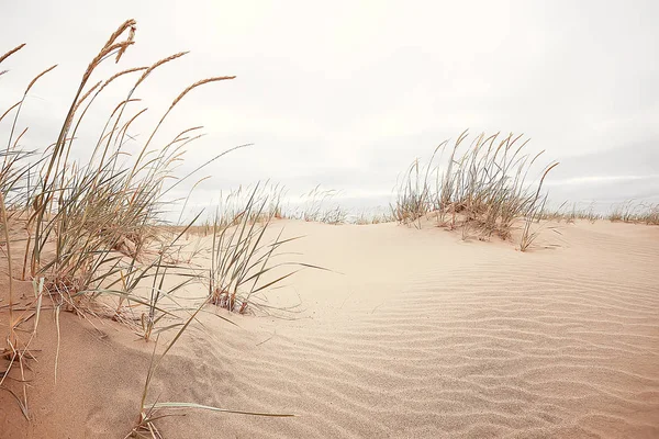 Désert Paysage Désert Sable Pas Peuple Paysage Dunes — Photo