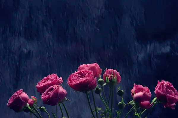 花束粉红色玫瑰背景 节日概念 美丽的粉红色花背景 — 图库照片