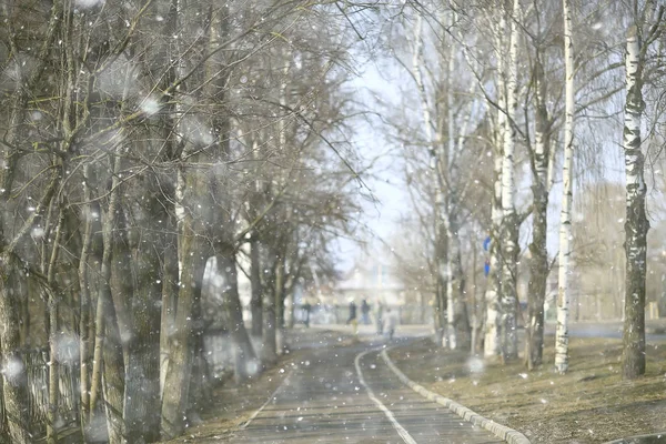 Wczesna Wiosna Lesie Drzewa Bez Liści Śnieg Topi Szary Sad — Zdjęcie stockowe