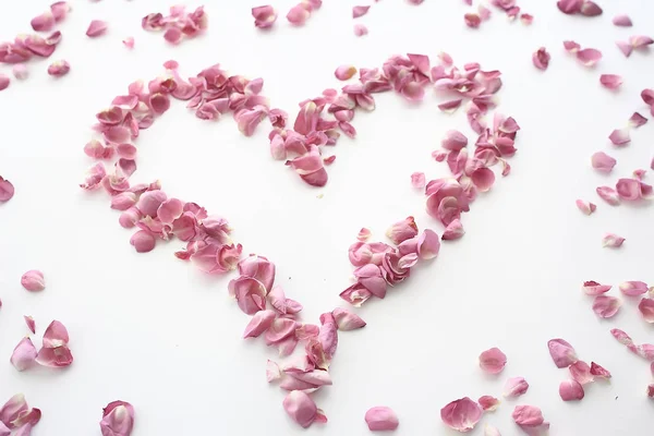 Heart Rose Petals Pink Roses Heart Shaped Frame Petals Love — Stock Photo, Image