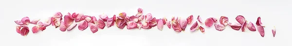 Okvětní Květiny Rám Plátky Červených Květů Bílém Pozadí Izolované — Stock fotografie