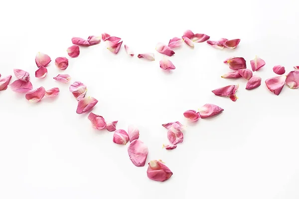 Herz Rosenblätter Rosa Rosen Herzförmige Rahmenblätter Liebeskonzept — Stockfoto