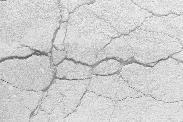 crack on the ground white background / abstract white vintage background broken texture