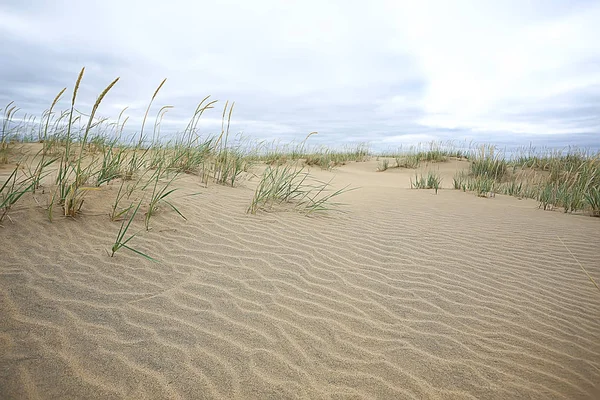 Woestijn Landschap Zand Woestijn Geen Mensen Duinlandschap — Stockfoto