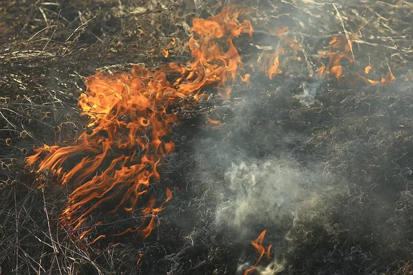 Pożar Polu Pożar Suchej Trawie Spalanie Słomy Element Krajobraz Przyrody — Zdjęcie stockowe