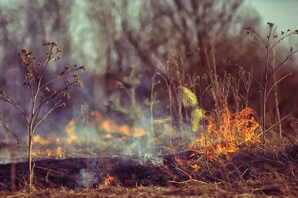 Пожарный Тушит Траву Лесной Пожар Сухая Трава Горит Дует Ветер — стоковое фото