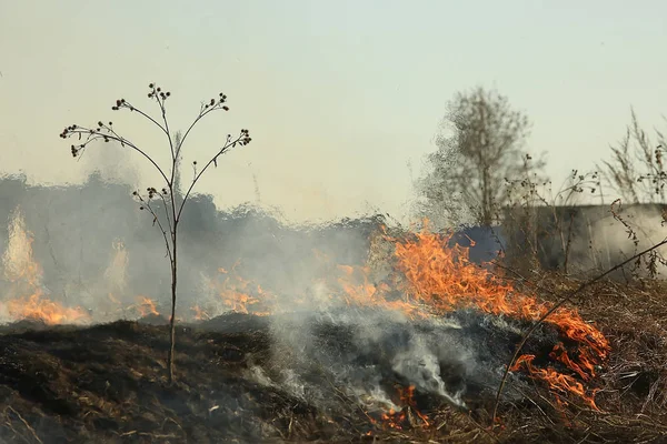 Pożar Polu Pożar Suchej Trawie Spalanie Słomy Element Krajobraz Przyrody — Zdjęcie stockowe