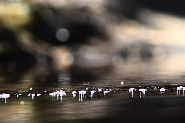 Buborékok Felszínen Víz Patak Tiszta Természetes Víz Gyors Jelenlegi Kis — Stock Fotó