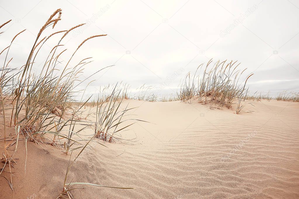 desert landscape / sand desert, no people, dune landscape