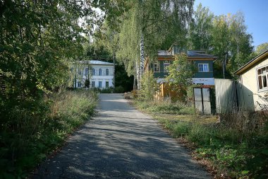 yaz parkı arka plan / doğa ağaçları yeşil yaprakları, soyut arka plan yaz görünümü