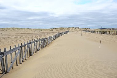 çölleşme, iklim değişikliği kavramı, küresel ısınma / çöl manzara