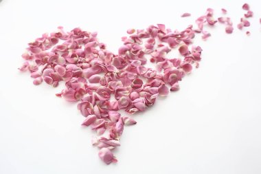 kalp gül yaprakları / pembe güller, kalp şeklinde çerçeve yaprakları, aşk konsepti