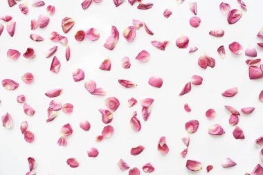 pembe ve kırmızı yaprakları arka plan / soyut aroma arka plan, spa pembe yaprakları