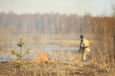 itfaiyeci çim / orman yangını, kuru çim yanıklar, rüzgar darbeler söndürüyor