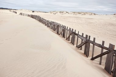 çölleşme, iklim değişikliği kavramı, küresel ısınma / çöl manzara