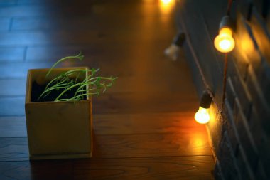 Çaydanlıktaki genç filizler / taze yeşiller, biyoloji, botanik konsepti