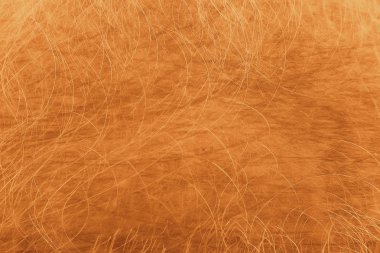 altın arka plan çizik boş doku / soyut metalik arka plan eski vintage duvar