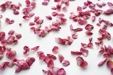 pembe ve kırmızı yaprakları arka plan / soyut aroma arka plan, spa pembe yaprakları