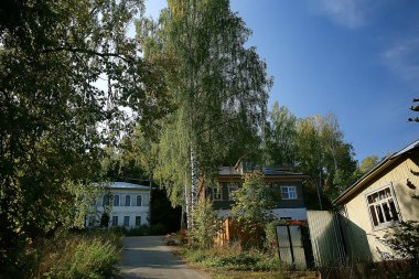 yaz parkı arka plan / doğa ağaçları yeşil yaprakları, soyut arka plan yaz görünümü